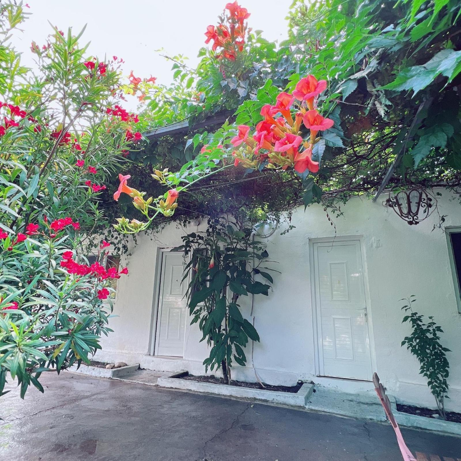 Garden Villa Naza Piqeras Kültér fotó